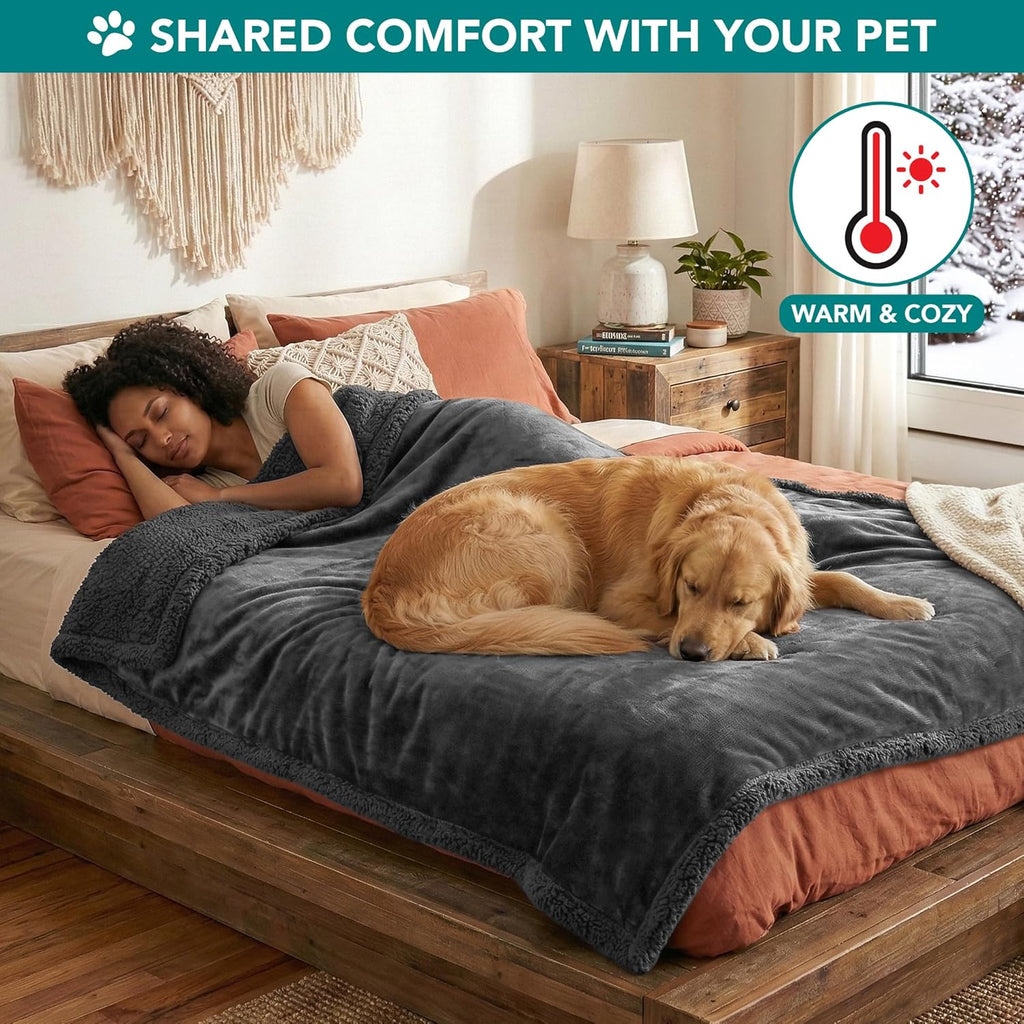 Dog Blanket Small Medium Pet Cat Puppy Kitten, 40X29 Mini Solid Gray | 460 GSM, Soft Sherpa Fleece Throw, Reversible Plush Couch Cover Protector Crate Carrier Sofa Bed Car Seat, Machine Washable