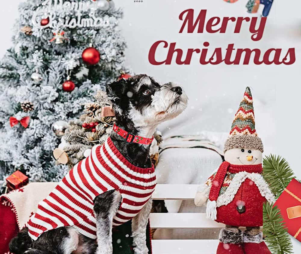 Christmas Dog Collar, for Small Dogs, Christmas,S | Neck Fit 9.8"-15.7", Multiple Patterns，4 Sizes for Small Medium Large Dogs, Comfortable for Walks and Outdoor Hikes